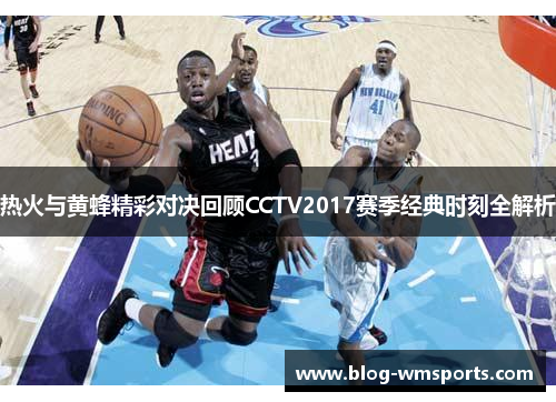热火与黄蜂精彩对决回顾CCTV2017赛季经典时刻全解析